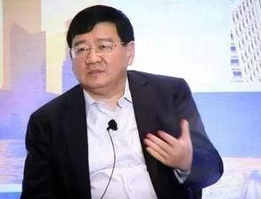 徐小平爆料视频大全集,揭秘名人与企业背后的真实故事